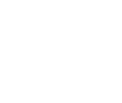 Drupal 10 white logo