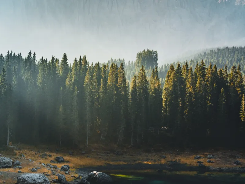 nature